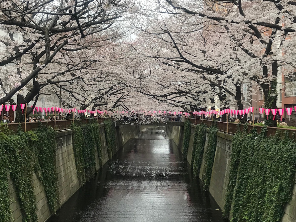 3月29日 本日のご予約状況
